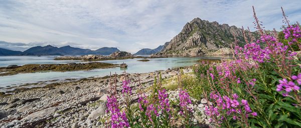 Henningsvaer